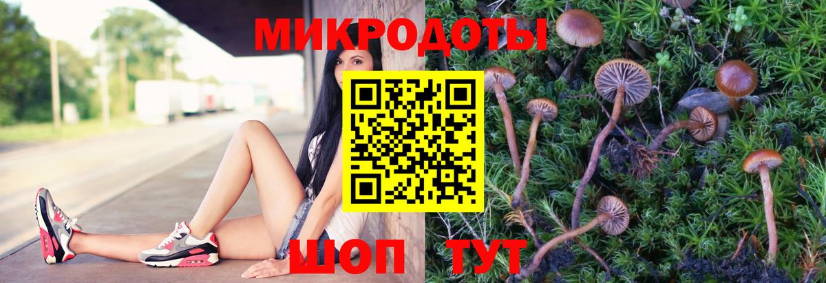 Анапа  Псилоцибиновые грибы Psilocybe  Вход с VPN  Галлюциногенные грибы мухоморы 