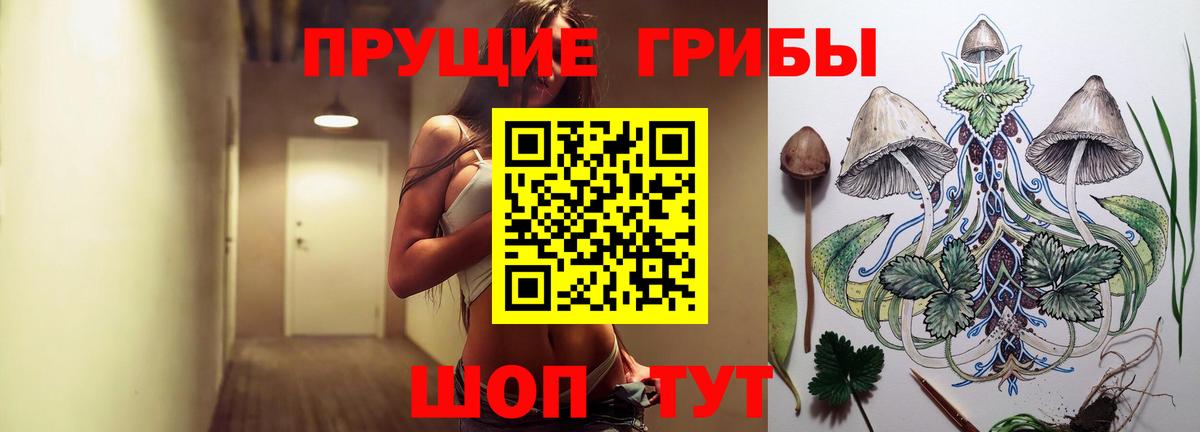 Псилоцибиновые грибы Psilocybine cubensis Анапа